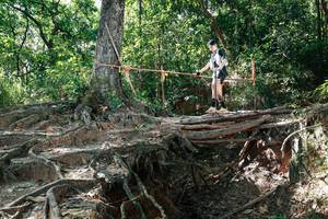 BIB: 
                            <button type="button" onclick="openModal(27799981)" class="btn btn-primary btn-sm float-right btn-popup" data-toggle="modal" data-target=".modal-high-quality">
                        <i class="fas fa-shopping-cart"></i> Add to Cart
                    </button>
                                            <button type="button" onclick="isThisMe(27799981, true)" class="btn btn-success btn-sm float-right btn-popup btn-isme hidden" data-toggle="tooltip" data-placement="bottom" title="นี่คือรูปของคุณใช่ไหม คลิกที่นี่เพื่อเอาเข้าอัลบั้ม">
                        <i class="fas fa-plus"></i> Add to album
                    </button>
                    <button type="button" onclick="isThisMe(27799981, false)" class="btn btn-warning btn-sm float-right btn-popup btn-isnotme hidden">
                        <i class="fas fa-ban"></i> Remove from album
                    </button>